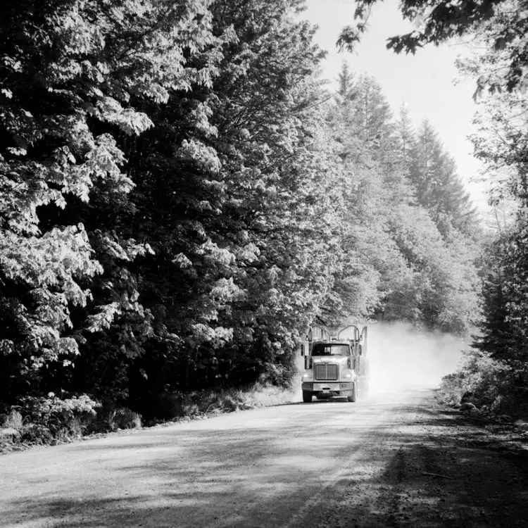 An empty logging truck drives down Gordon River Road, near Lake Cowichan, on May 20, 2021.