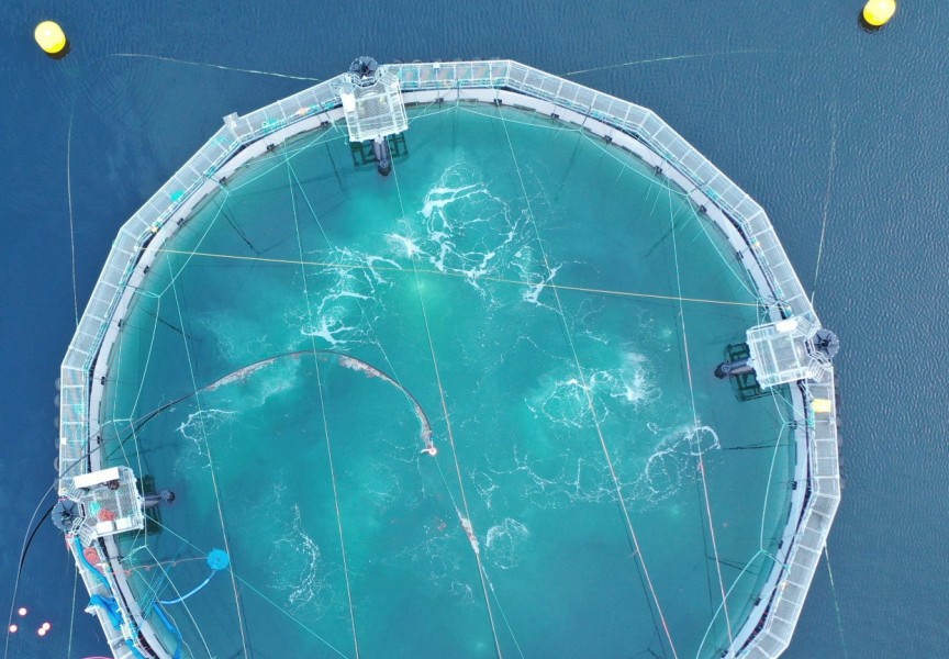 A semi-closed containment system, seen from from above, is currently being tested in Ahousaht waters. (Sam Chen/Cermaq photo)