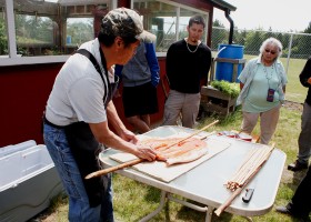 Joe uses a sturdy salmon berry stalk sliced length-wise down the middle and places the fish in between