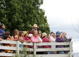 Crowds gather to welcome the pullers